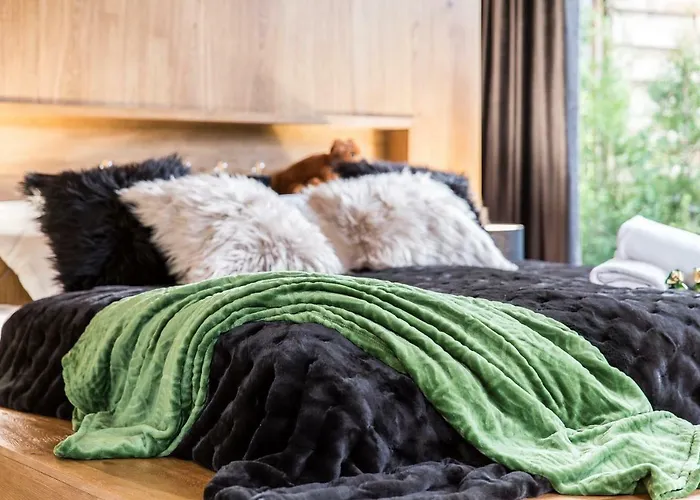 Nowy Komfortowy Apartament & Spa Grizzly De Lux